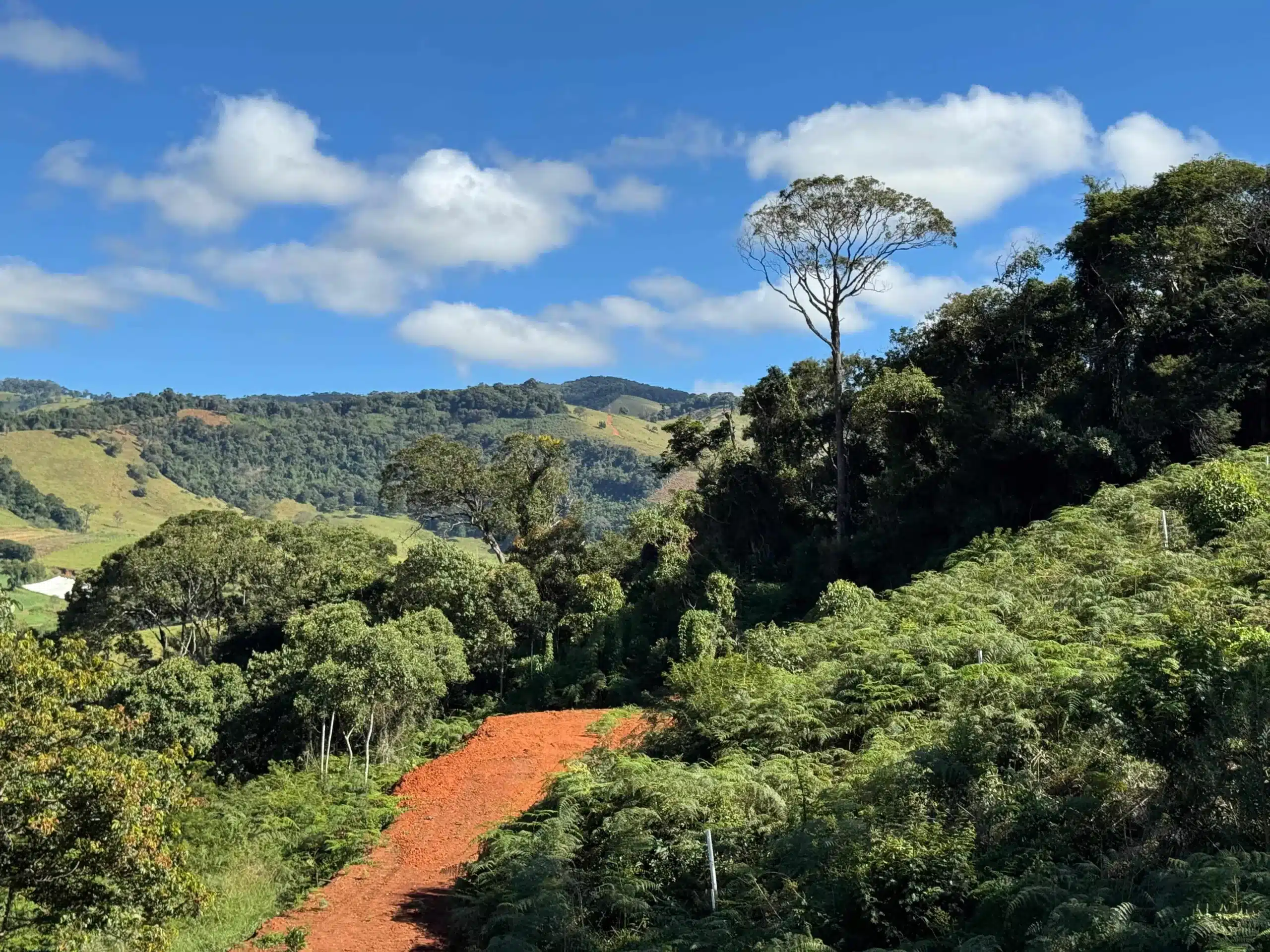 Imagem do WhatsApp de 2025-06-28 à(s) 08.10.26_69f4988a