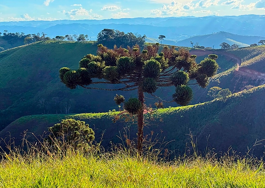 Terrenos Rurais na Serra da Mantiqueira