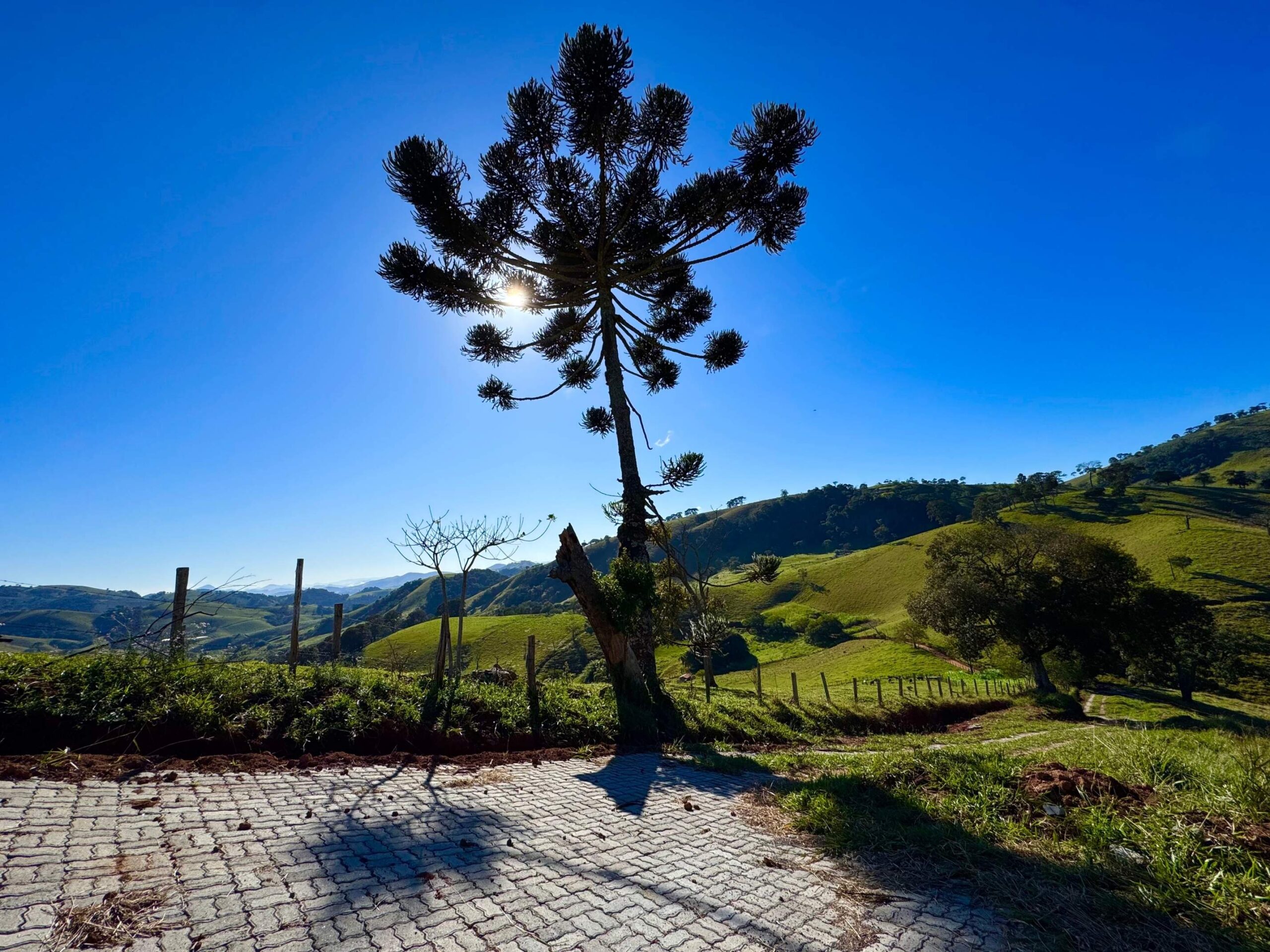 Terreno-a-venda-na-serra-da-mantiqueira-ipe-amarelo-1