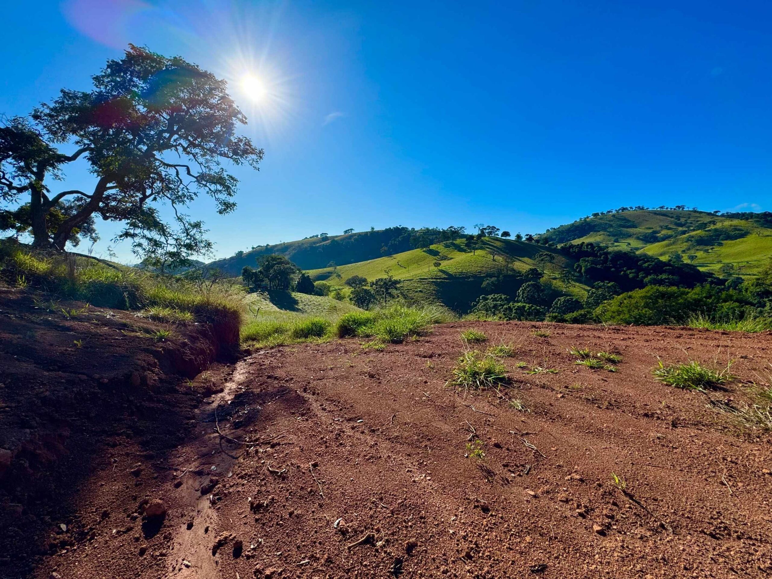 Terreno-a-venda-na-serra-da-mantiqueira-ipe-amarelo-2