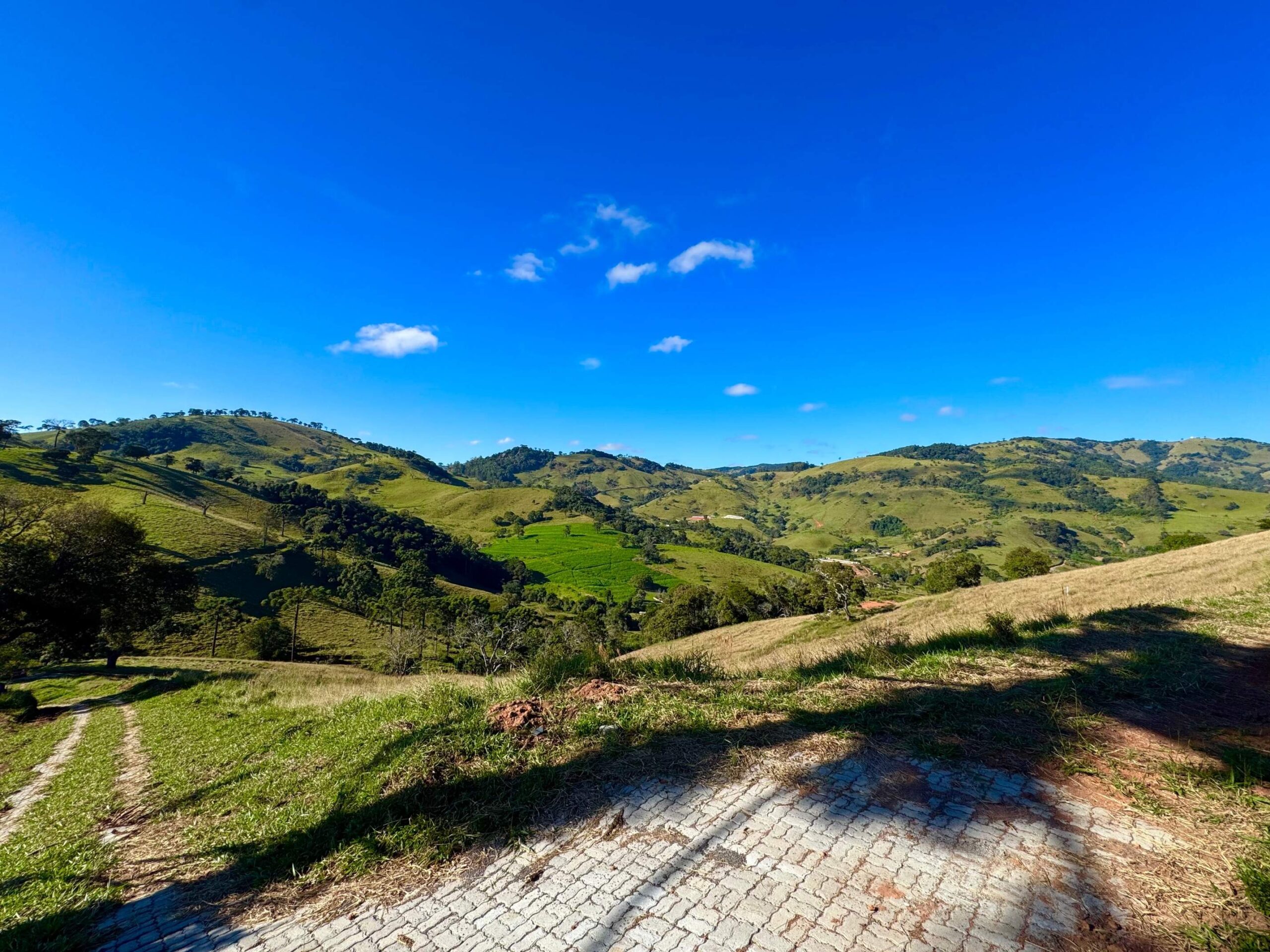 Terreno-a-venda-na-serra-da-mantiqueira-ipe-amarelo-3