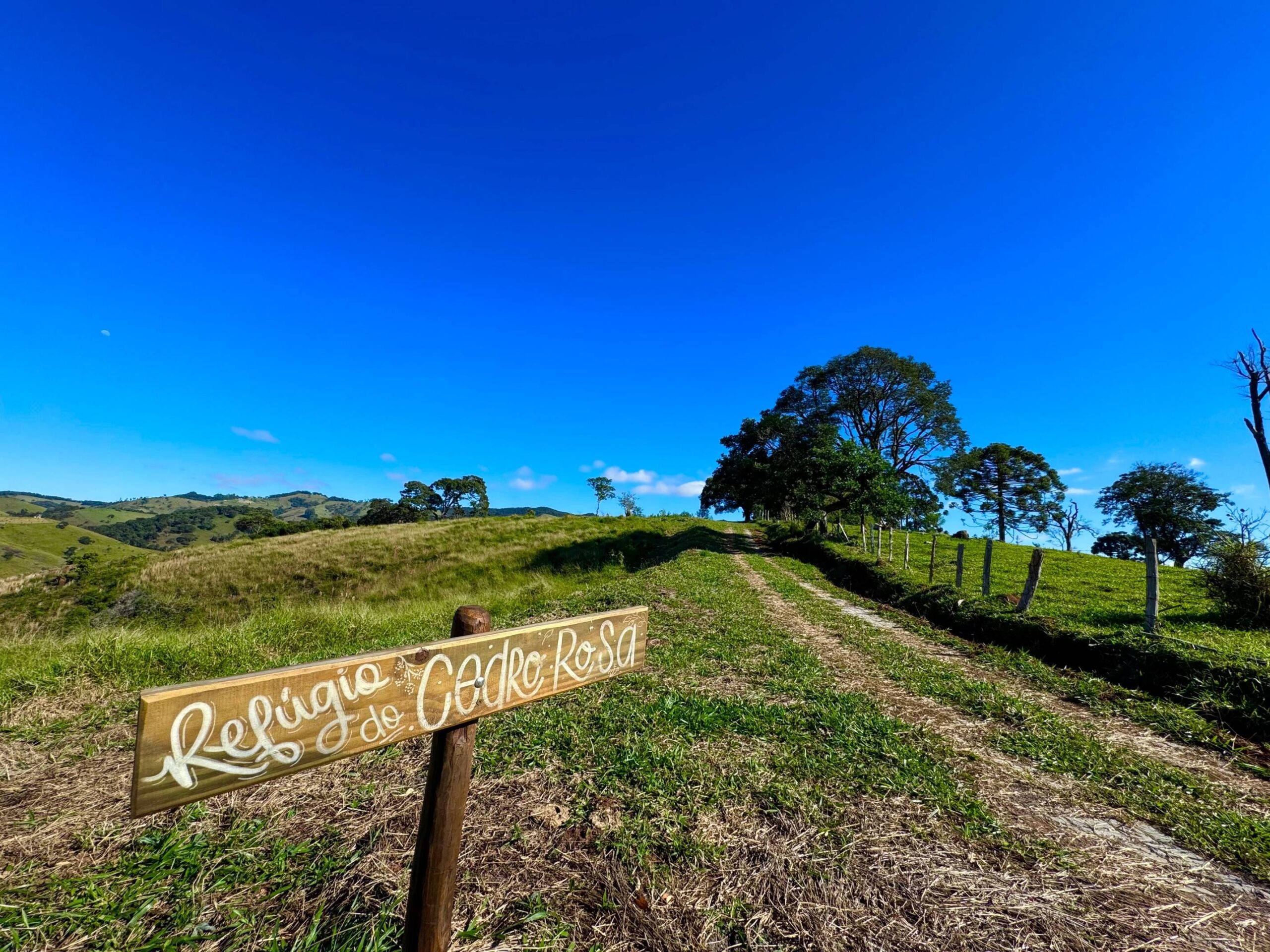 Terreno-cedro rosa-1
