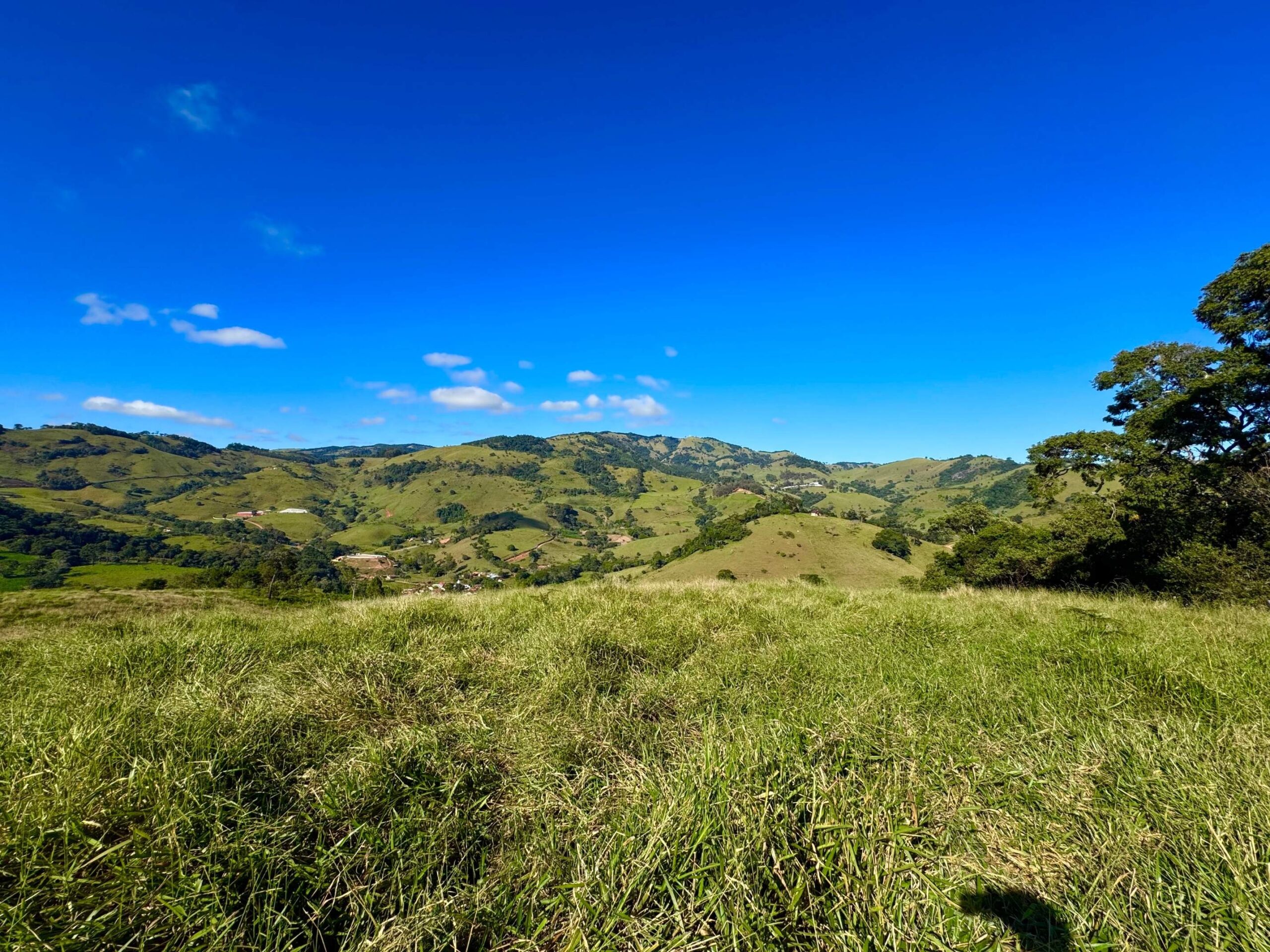 Terreno-cedro rosa-2