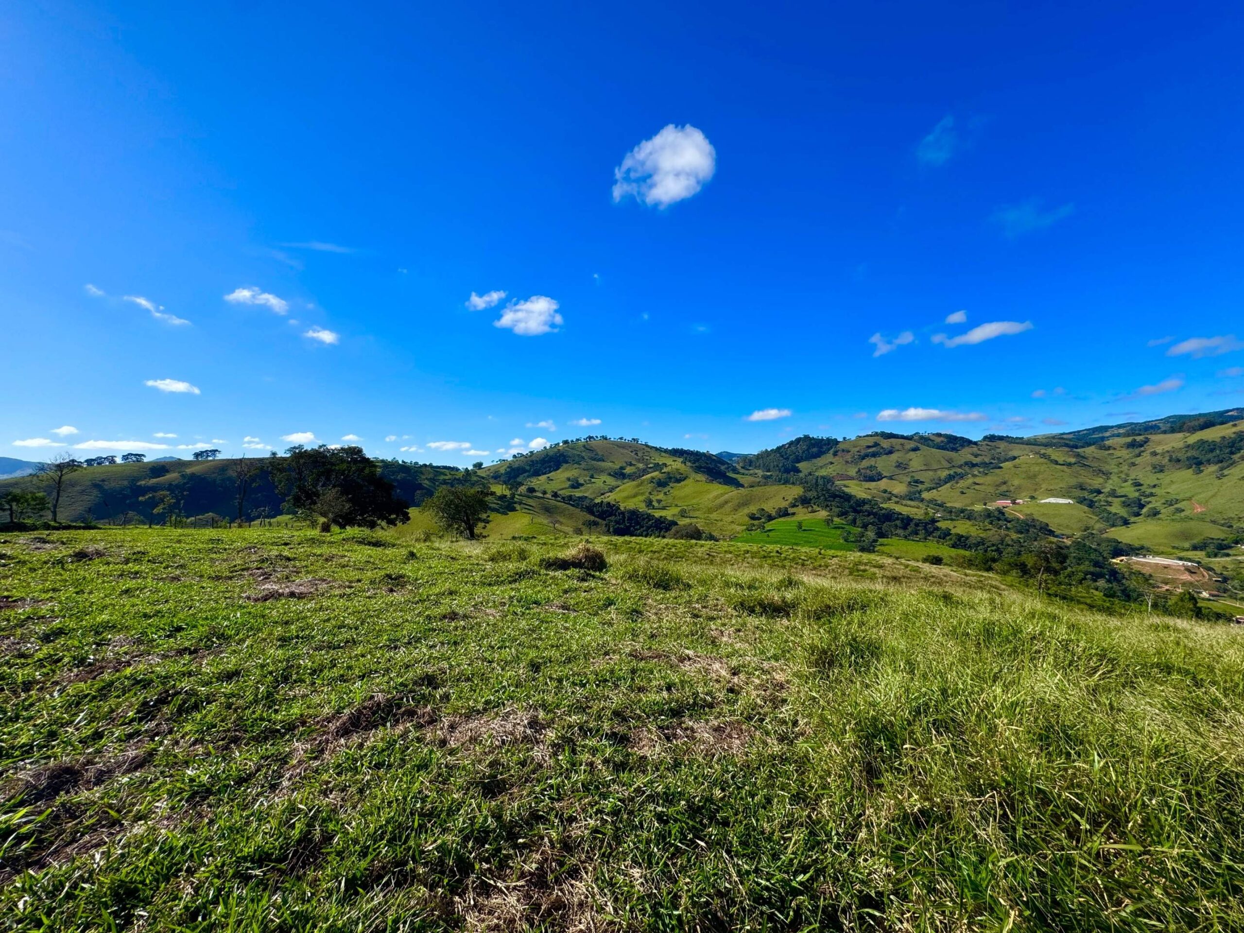 Terreno-cedro rosa-3